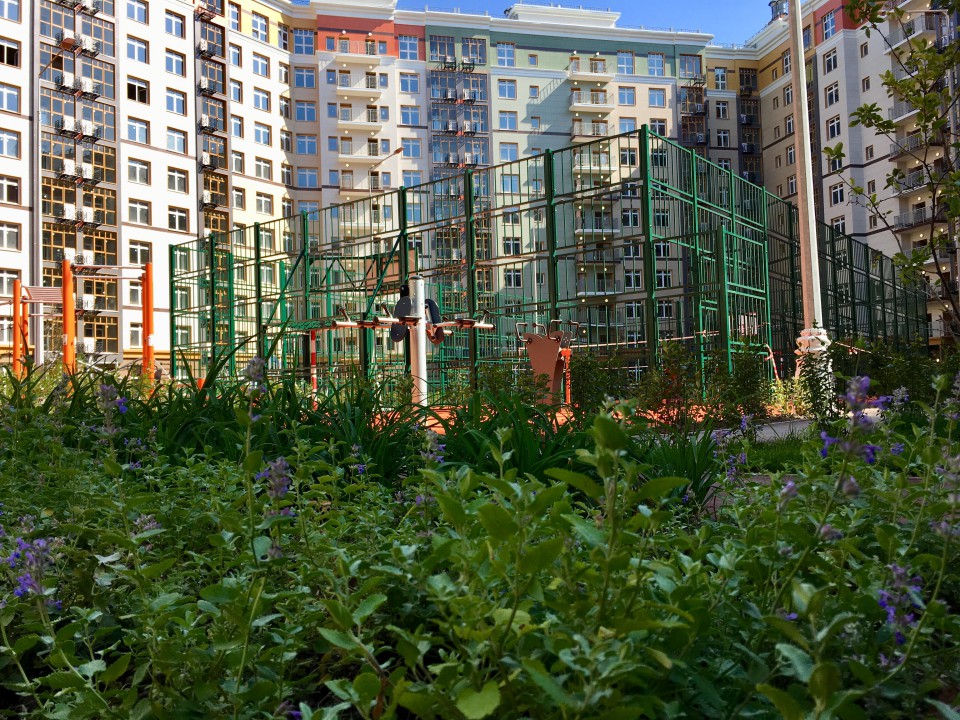 Фоновое изображение